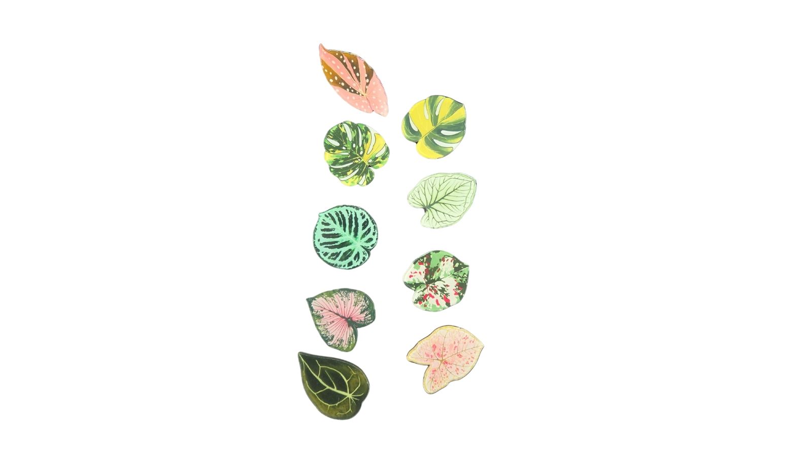 Fridge Magnet